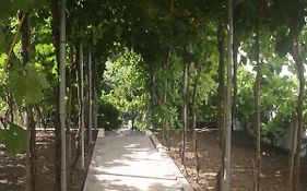Casatiomanel